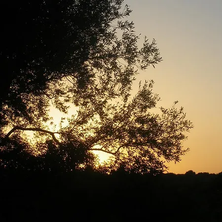 S'ustiarvu- Nuova Gestione 3* Cala Liberotto