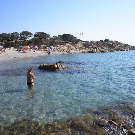 S'ustiarvu- Nuova Gestione