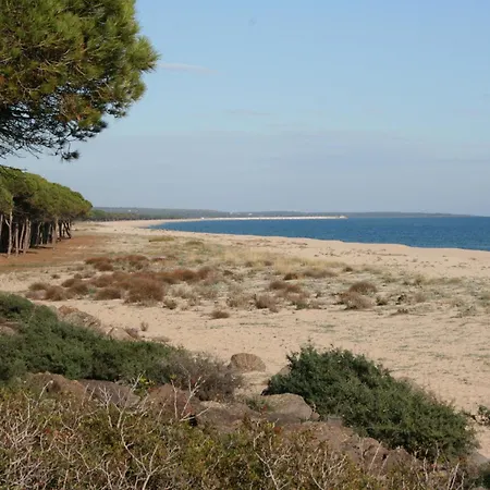 S'ustiarvu- Nuova Gestione