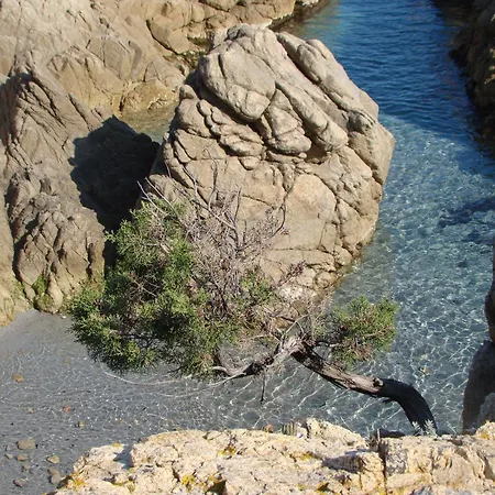 Hotel S'ustiarvu- Nuova Gestione 3*