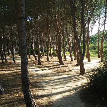 מלון S'ustiarvu- Nuova Gestione